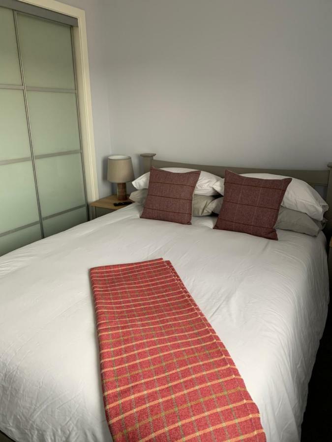 23 C Allan Gardens دورنوش المظهر الخارجي الصورة
